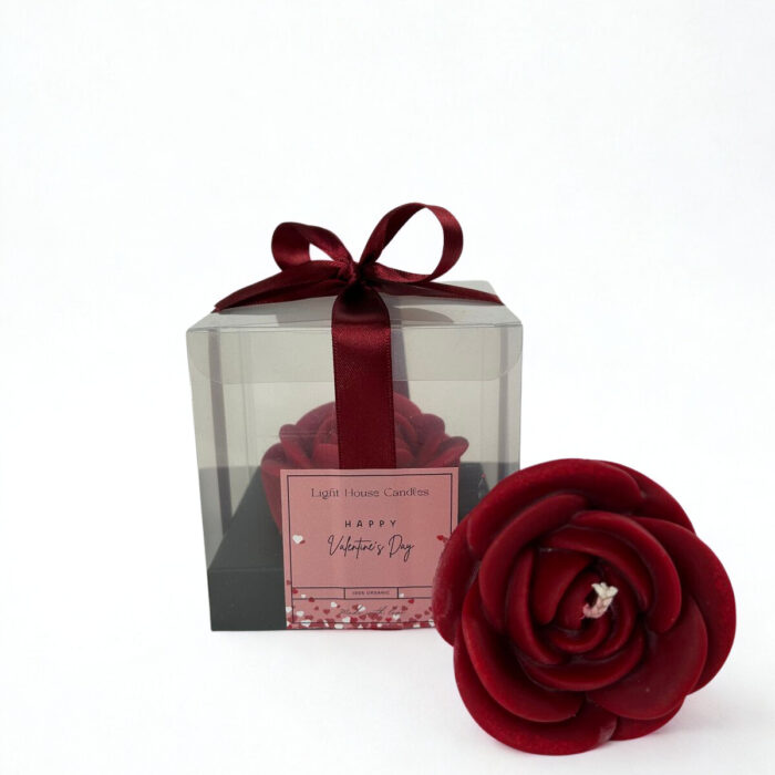 Valentine's Red Rose